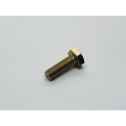 TORNILLO M10x1.25 Largo 30mm