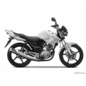 YBR125