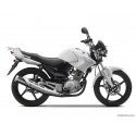 YBR125